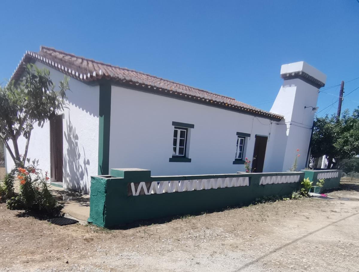 Foto de Maria Martins